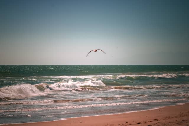 Silver Strand Beach - Image 1