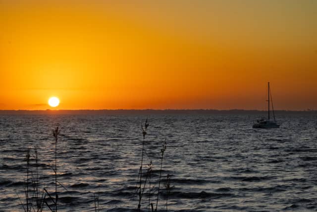 Escambia Bay Overlook - Image 1