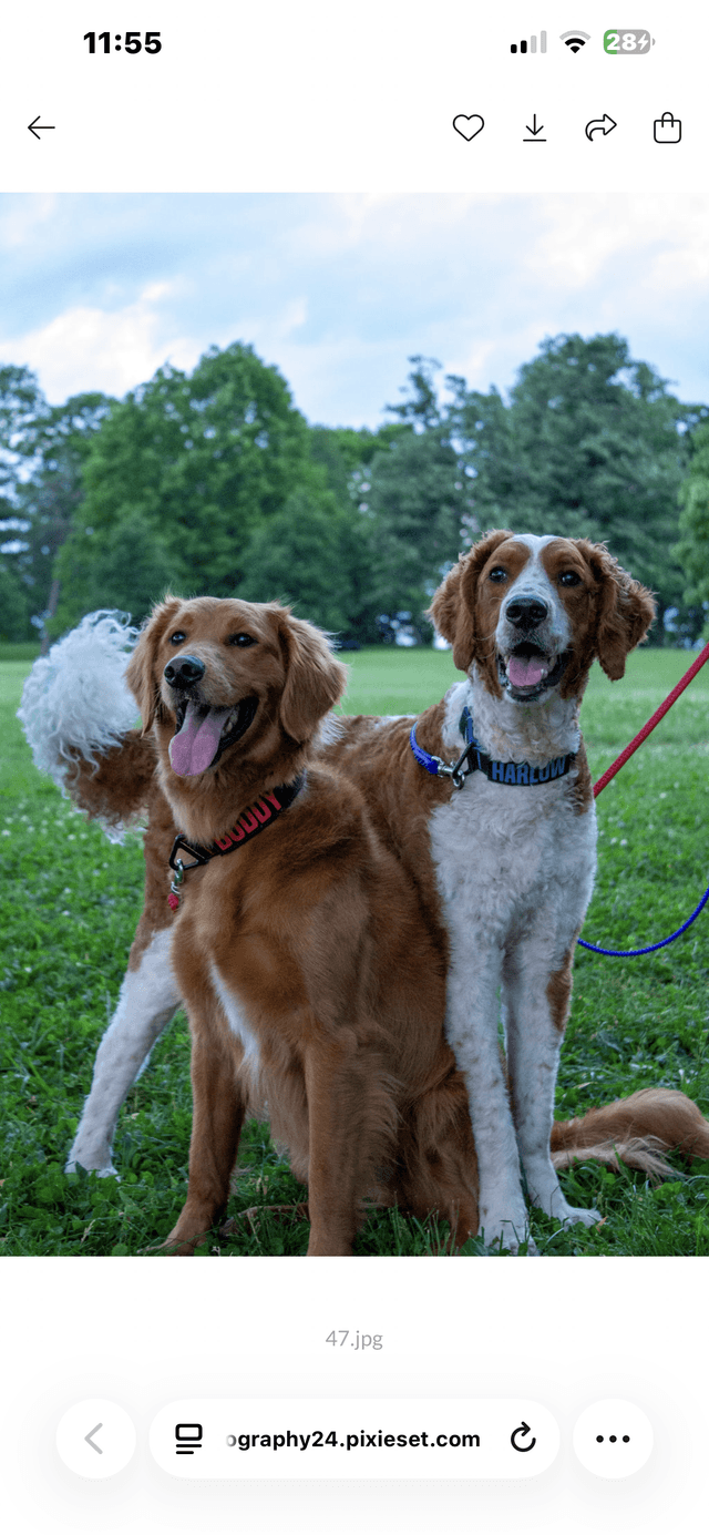 Santaro Park - Image 1