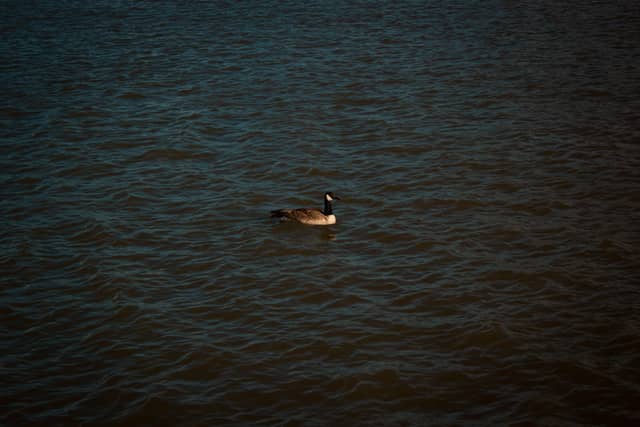 Manitowoc Riverfront - Image 1