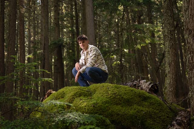 Trail of the Cedars, Glacier National Park - Image 1