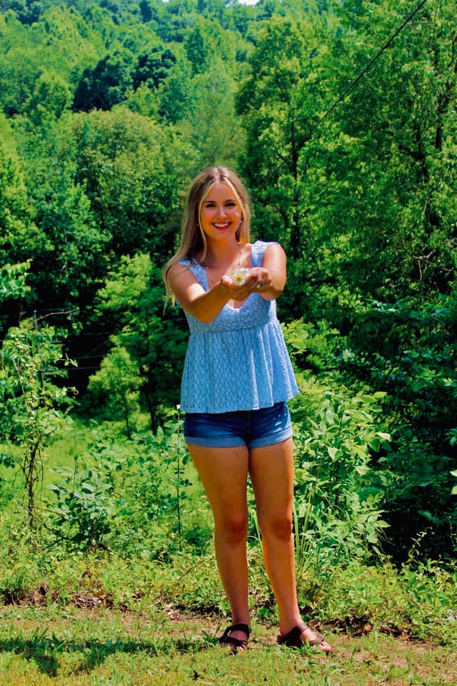 Langsville Forest - Image 1