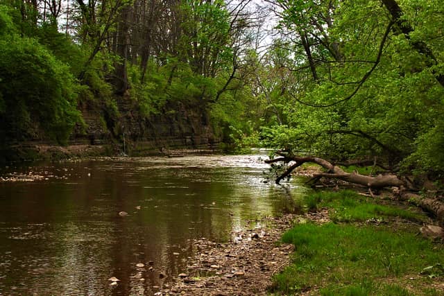 Rocky Fork Creek Shale Cliffs - Image 1