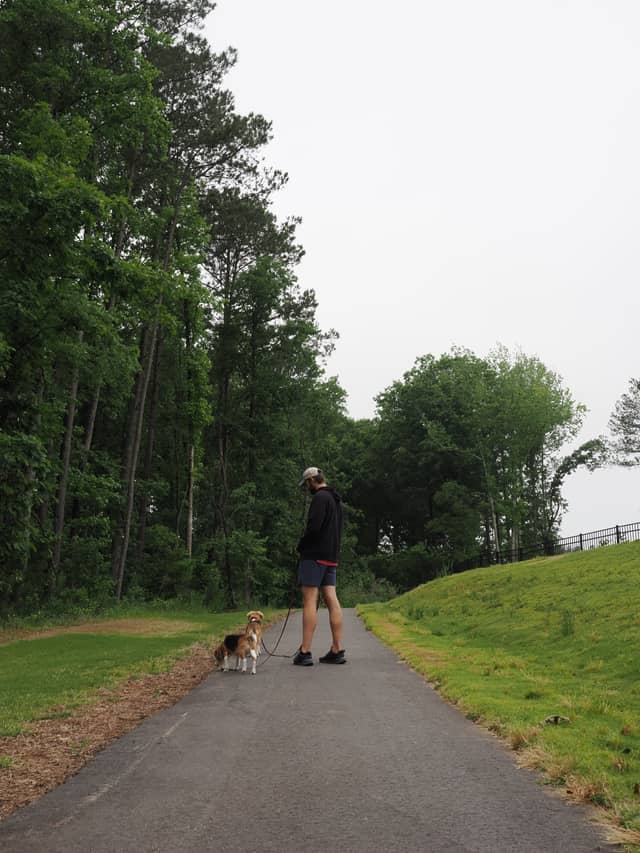 Garden Vine Trail Greenway - Image 1