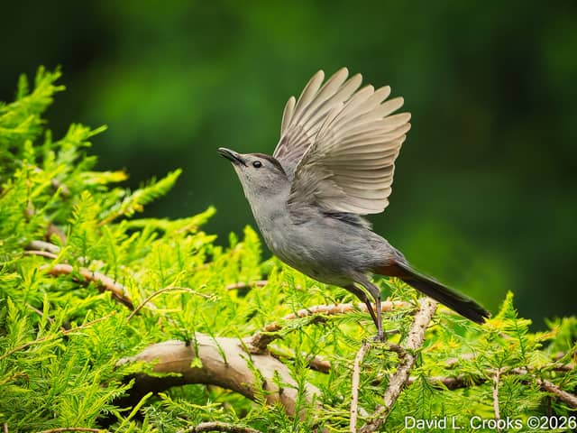 Brookside Gardens - Image 1