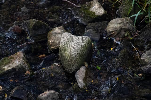 Rocky Creek Bed at Payne Avenue - Image 1