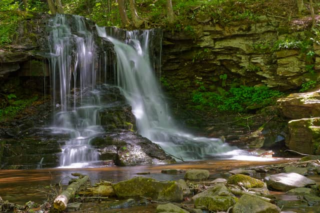 Dry Run Falls - Image 1