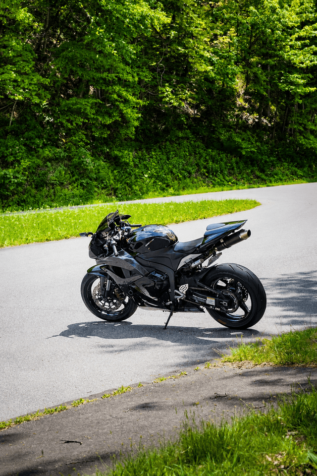 Blue Ridge Parkway Forest Pull-off - Image 1