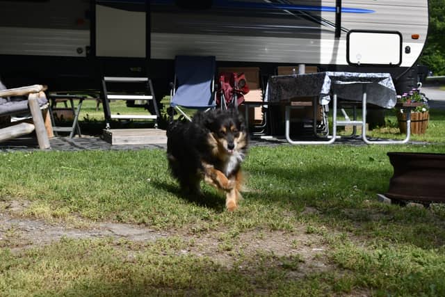 Pumpkin Patch RV Resort - Image 1