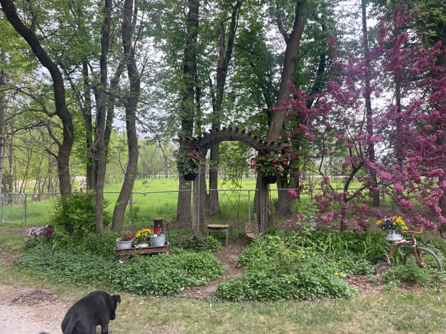 Buffalo Garden Archway - Image 1