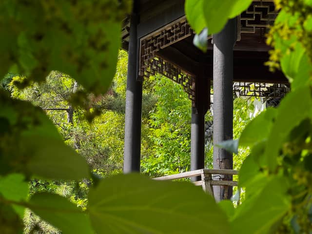 New York Chinese Scholar's Garden - Image 1