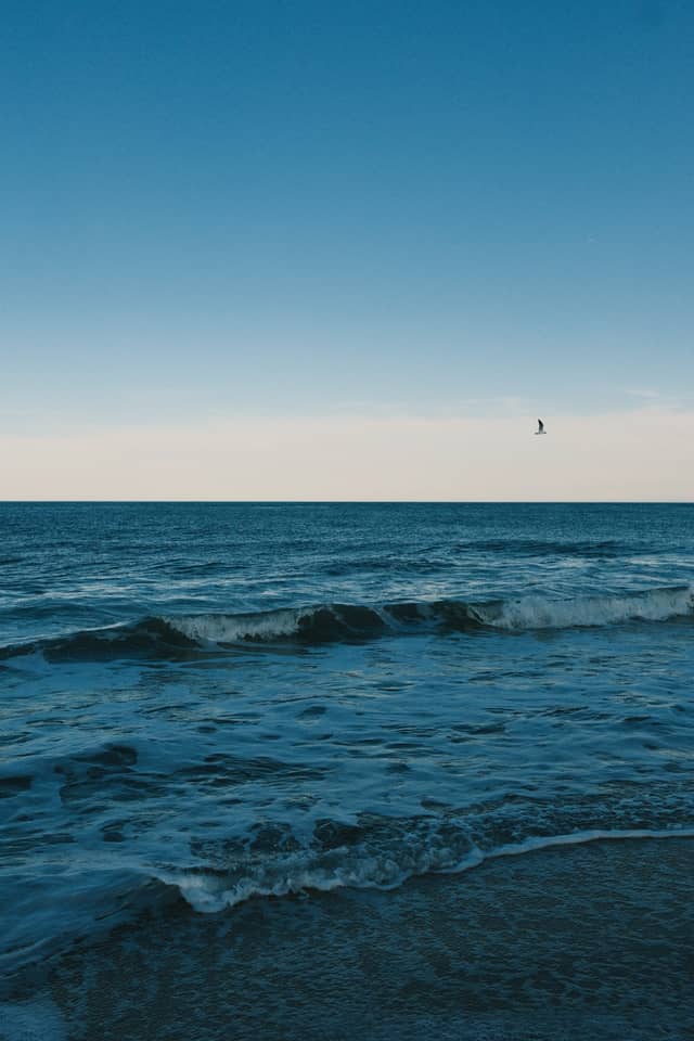 Rehoboth Beach - Image 1