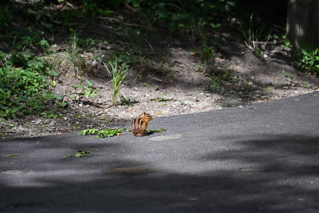 Cleveland Metroparks Zoo - Image 1