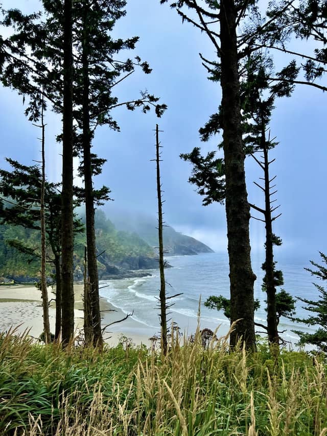 Heceta Head Coastal Overlook - Image 1