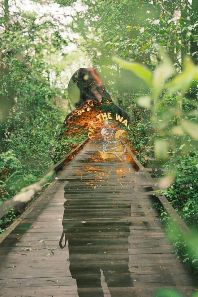 Estell Manor Park Boardwalk - Image 1