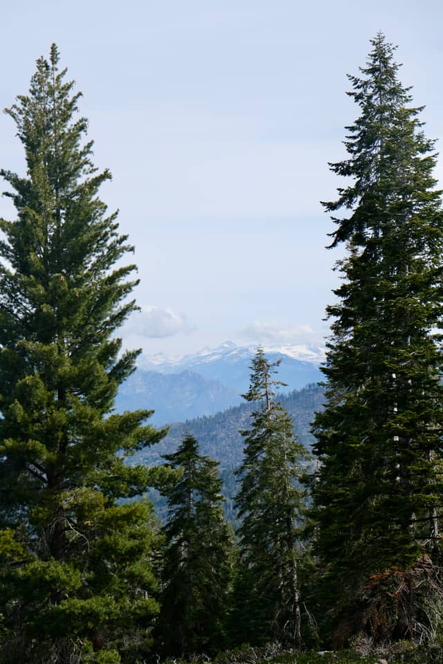 Kings Canyon Mountain Vista - Image 1