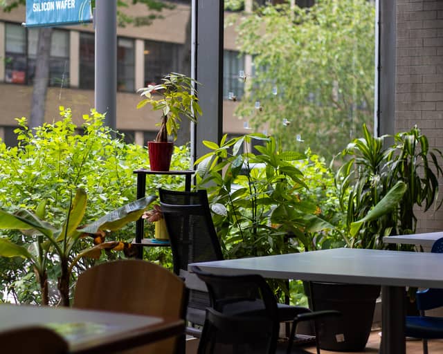 MIT Campus Indoor Garden - Image 1