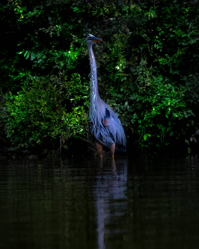 Raccoon Creek State Park - Image 1
