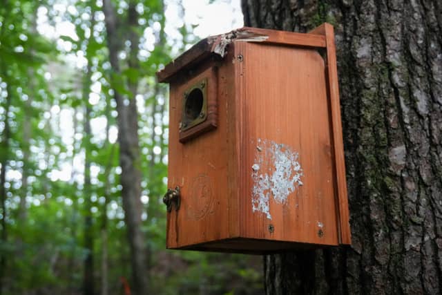 Gravel Hill Woodland Trail - Image 1