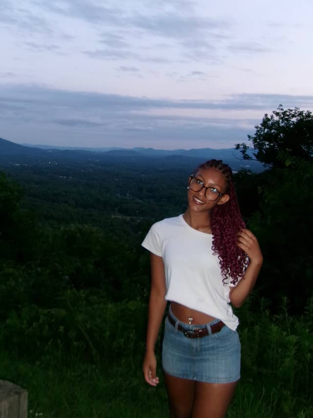 Blue Ridge Mountain Overlook, Asheville - Image 1