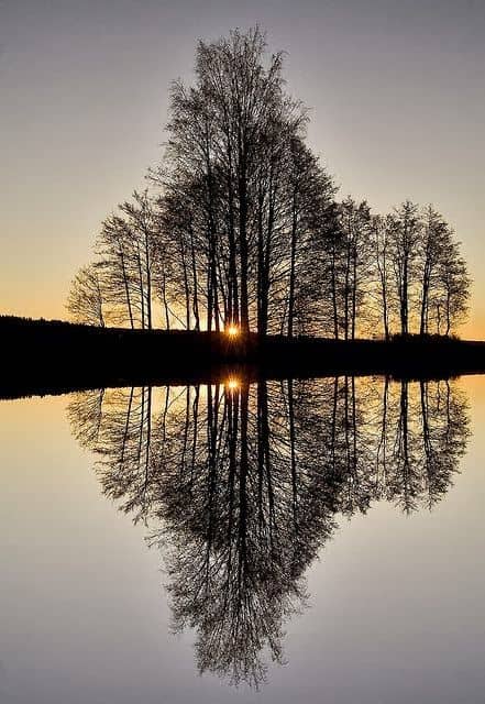 Rural Illinois Lakeside Reflection - Image 1