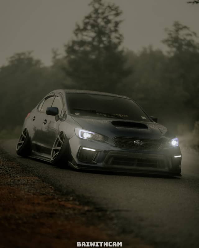 Blue Ridge Mountain Forest Road - Image 1