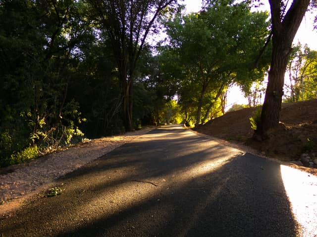 Roosevelt Nature Trail - Image 1
