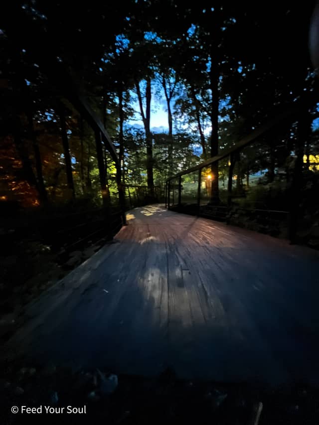 Trevor Zoo Boardwalk - Image 1