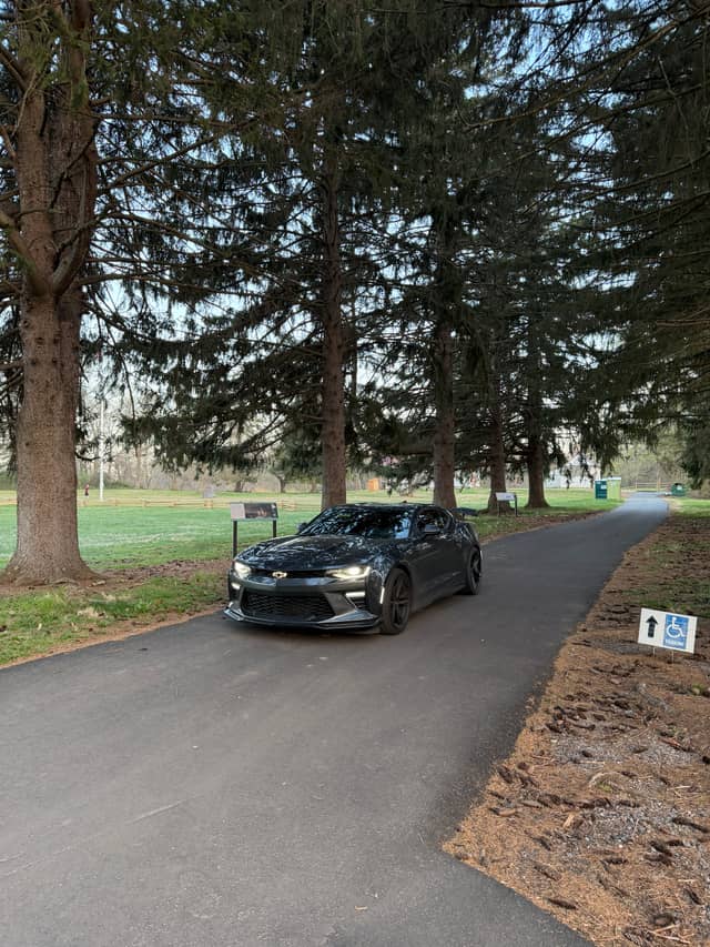 Princeton Battlefield Wooded Drive - Image 1
