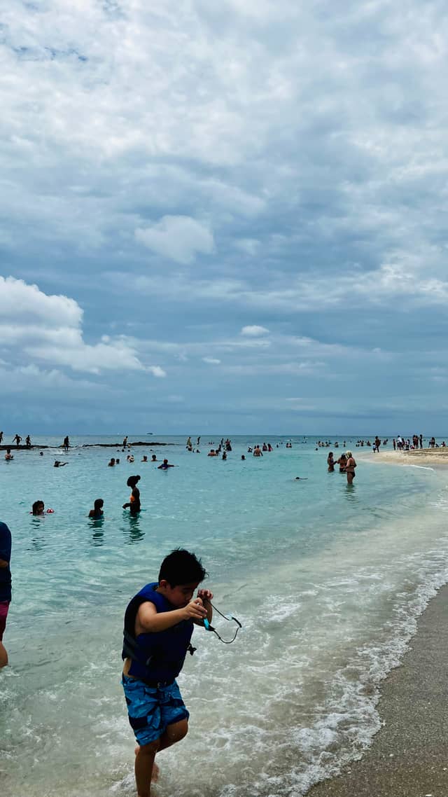 Phil Foster Park Beach - Image 1