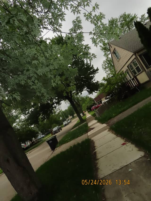 Taylor Suburban Streetscape - Image 1