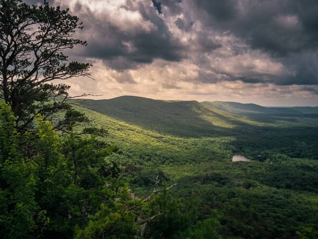 Cheaha State Park Overlook - Image 1