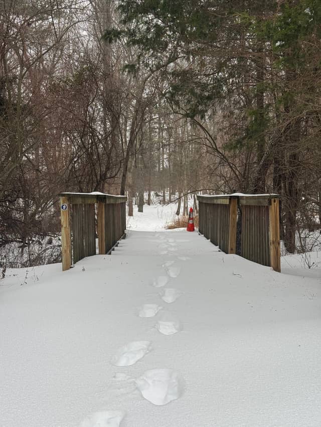 Mill Quarter Trail Bridge - Image 1