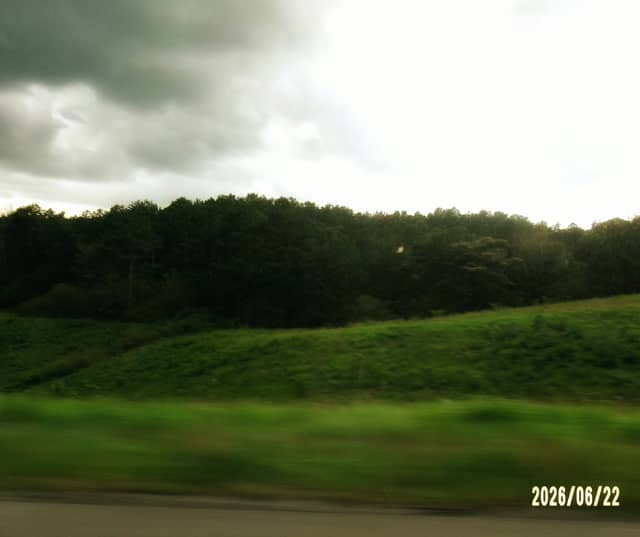 Gardendale Greenbelt - Image 1