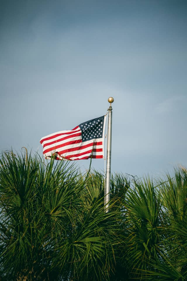North Myrtle Beach Coastal Palms - Image 1