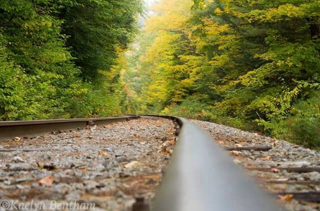 Stony Creek Railroad Tracks - Image 1