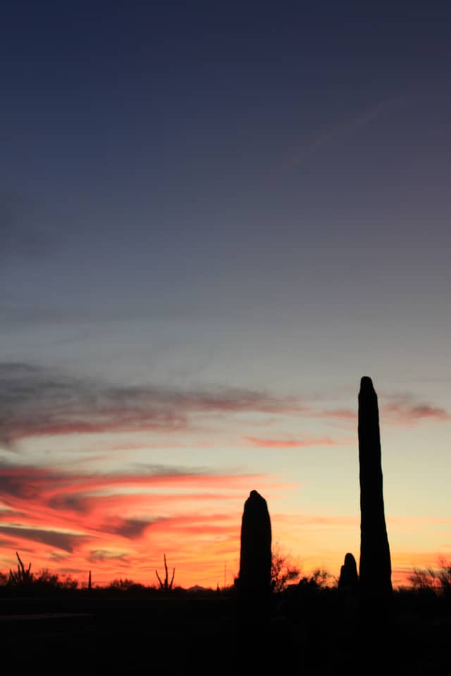 Sonoran Desert Sunset - Image 1