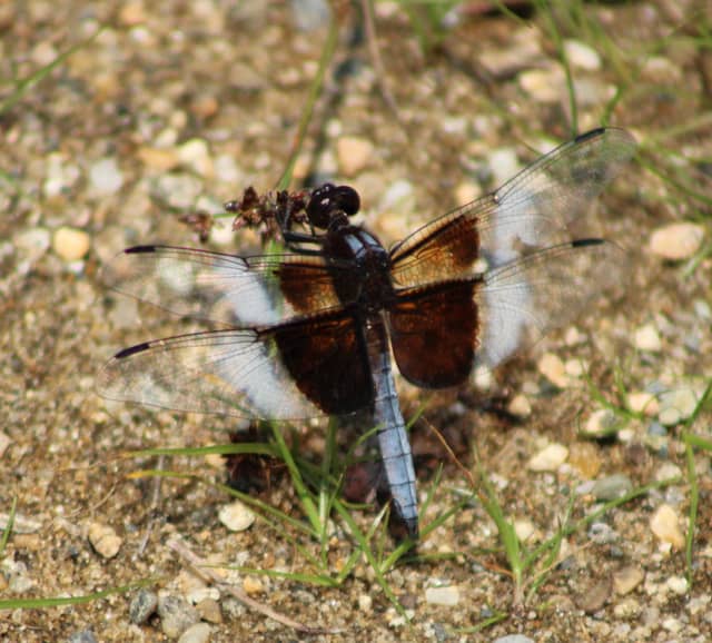 Eastman Lake Nature Trails - Image 1
