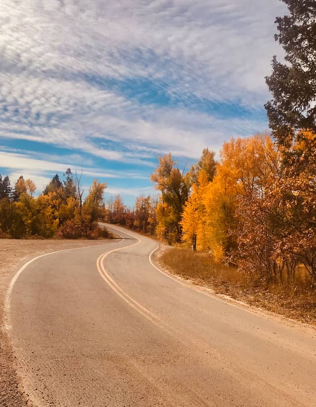 La Plata Canyon Road - Image 1