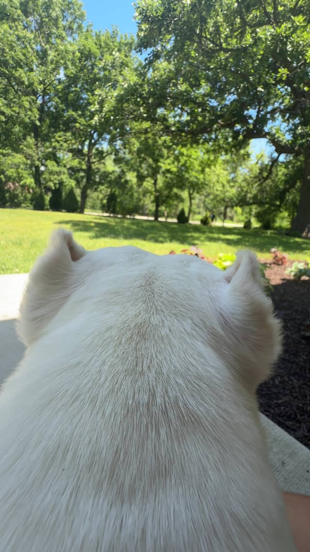 Pleasant Prairie Garden - Image 1