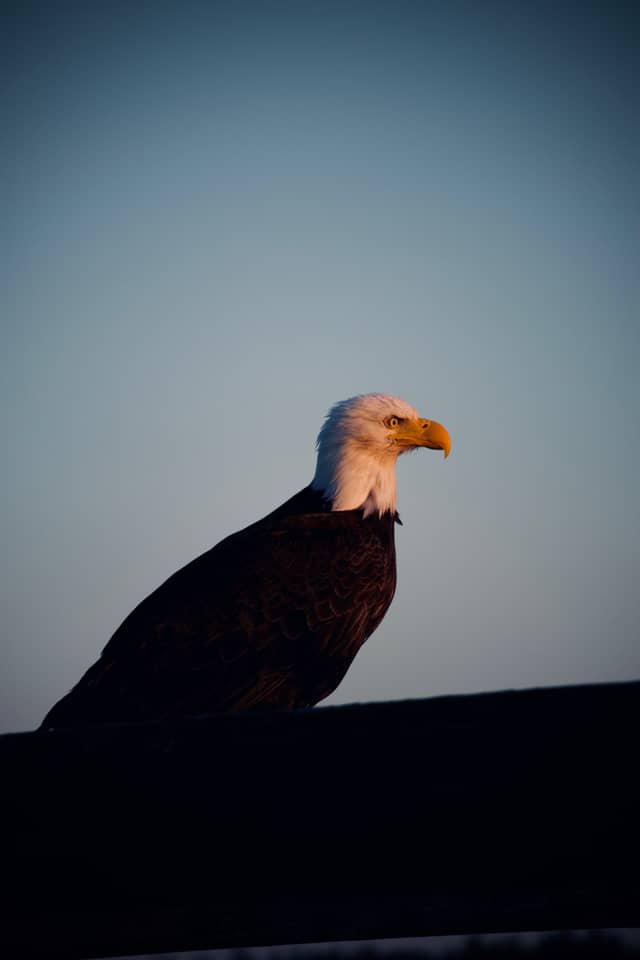 Fort Flagler Historical State Park - Image 1