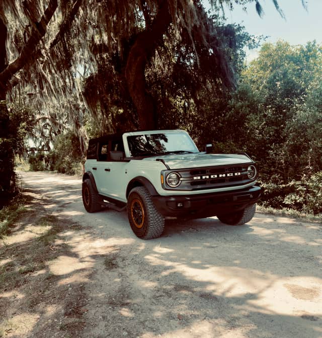 Savannah Coastal Forest Drive - Image 1