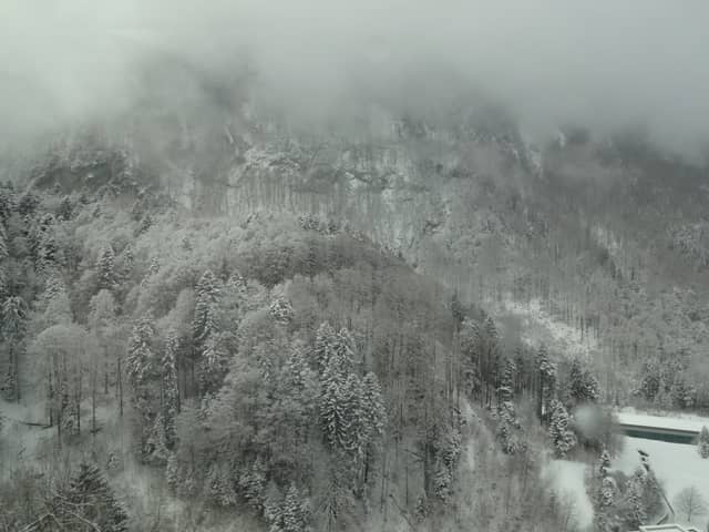 Misty Winter Mountain Slope - Image 1