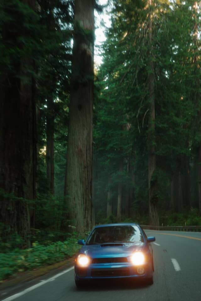 Redwood Highway (US-199) - Image 1