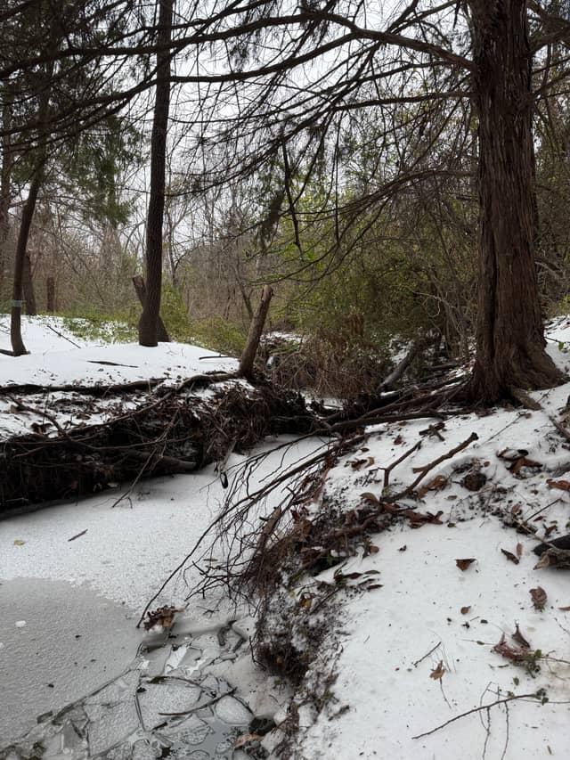 EpicCentral Park Creek - Image 1