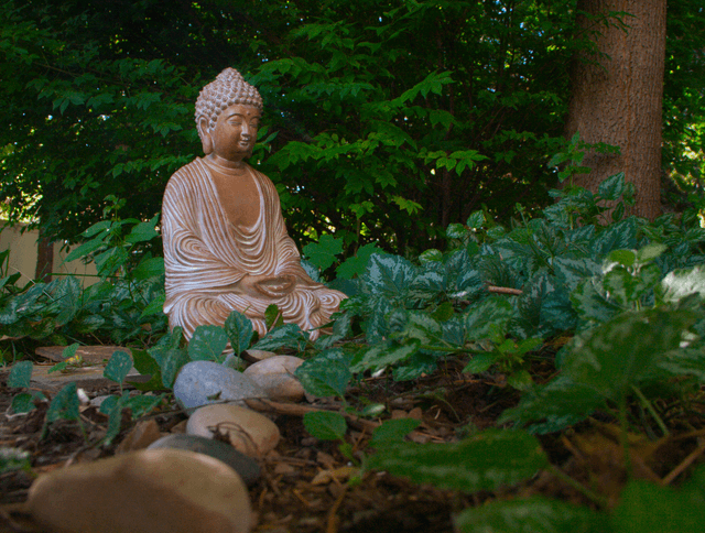 Layton Heritage Museum Gardens - Image 1