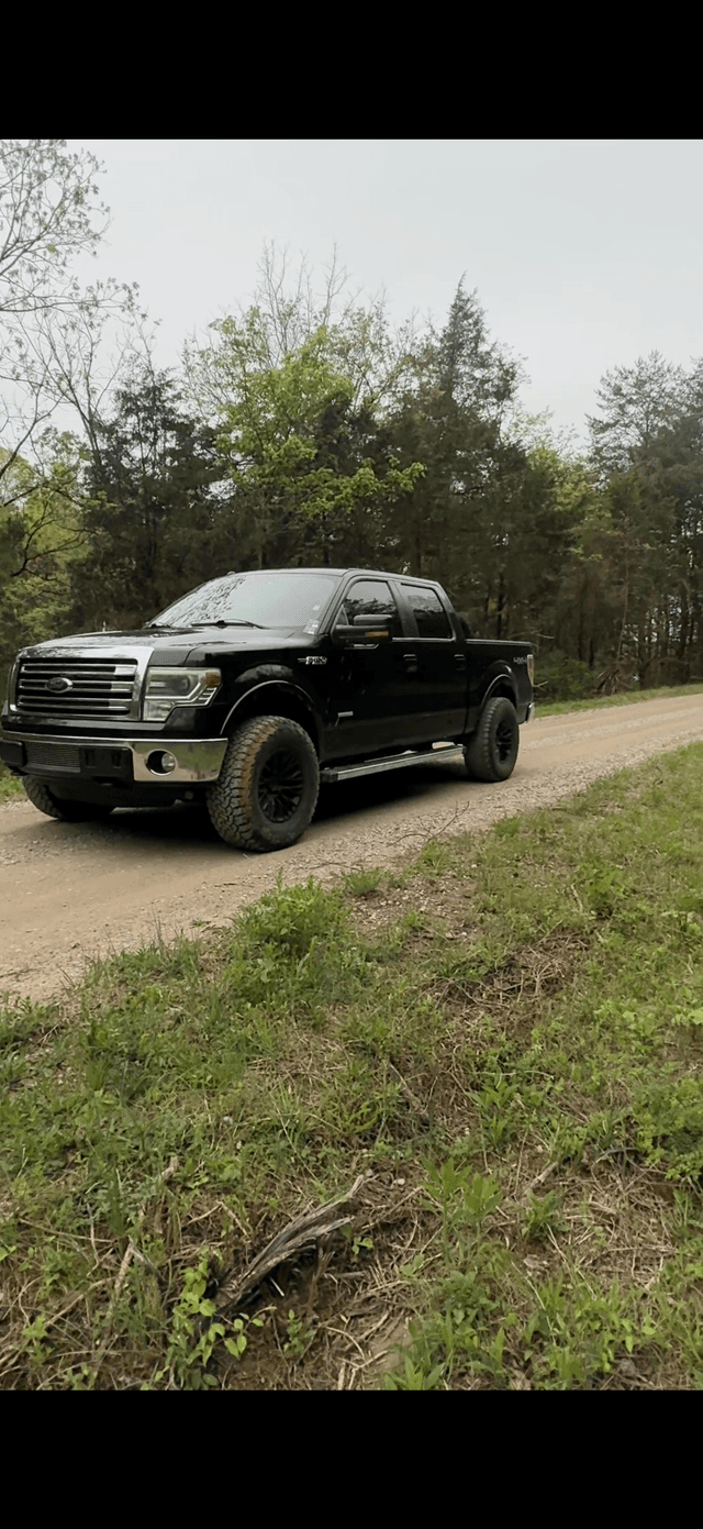 Kentucky Backcountry Road - Image 1