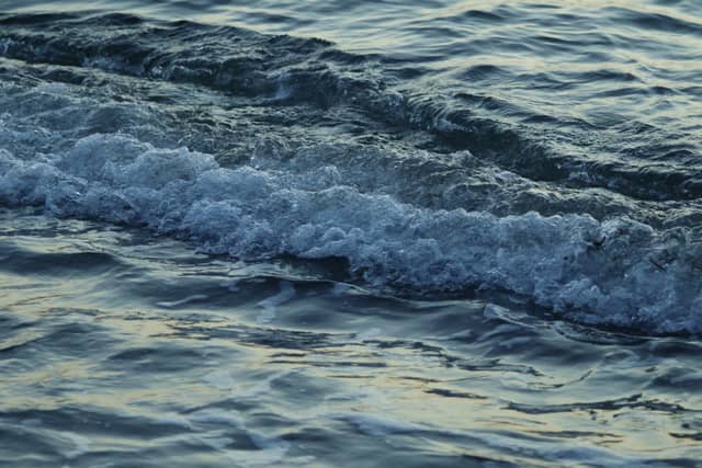 Lake Sammamish Shoreline - Image 1