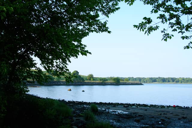Pelham Bay Park Shoreline - Image 1