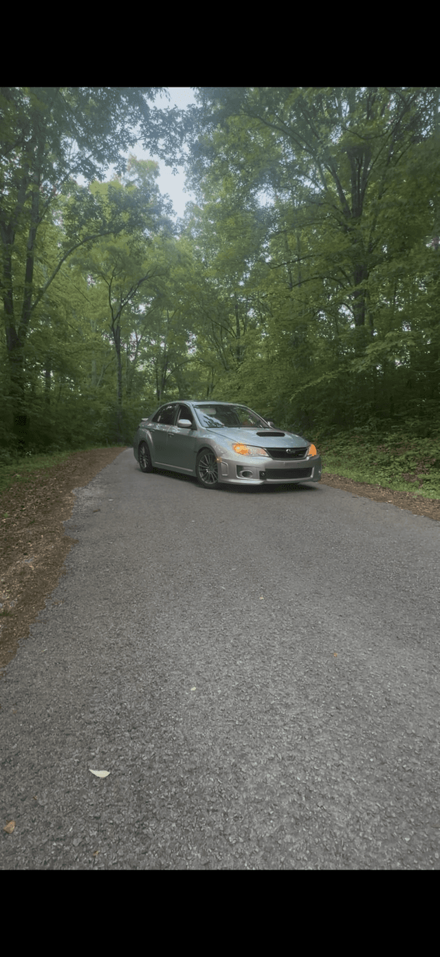 Wooded Road near Tims Ford Lake - Image 1